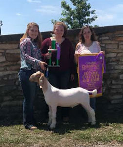 Sickels Winners