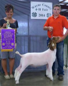 Sickels Winners