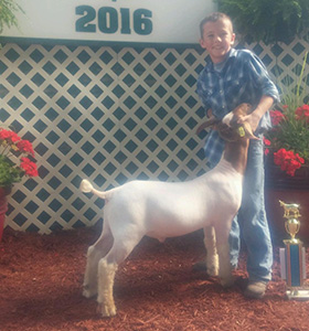 Sickels Winners