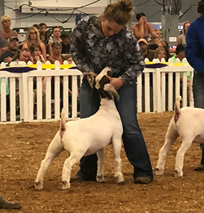 Sickels Winners